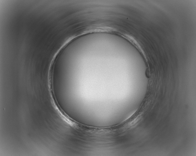 X0000073490851200607310915