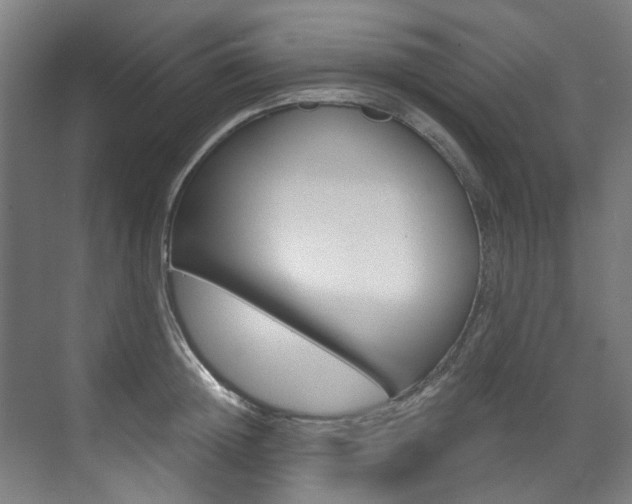 X0000073490852200607310915