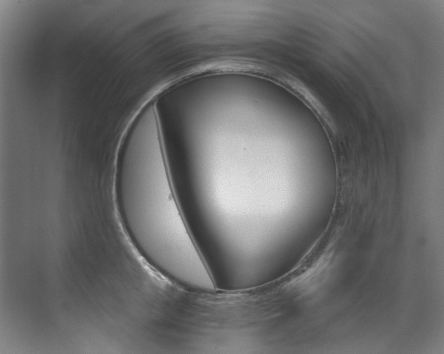 X0000073490853200607310915
