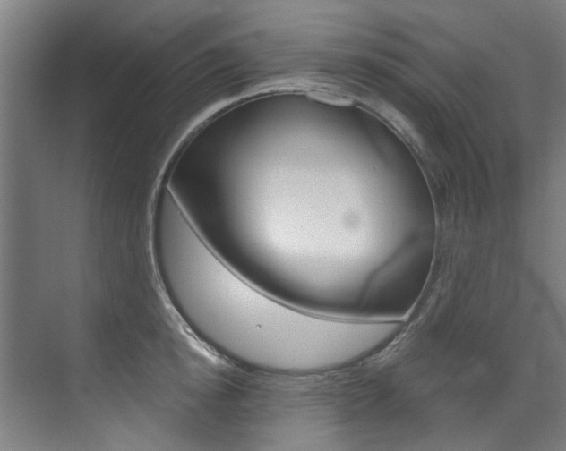 X0000073490854200607310915