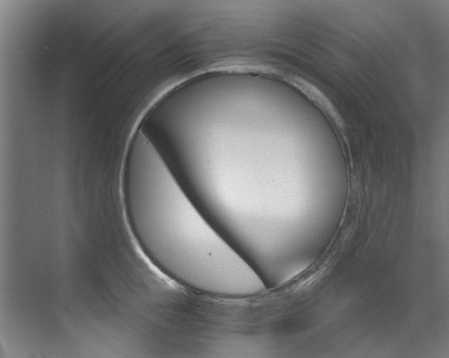 X0000073490855200607310915