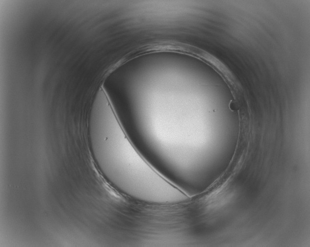 X0000073490857200607310915