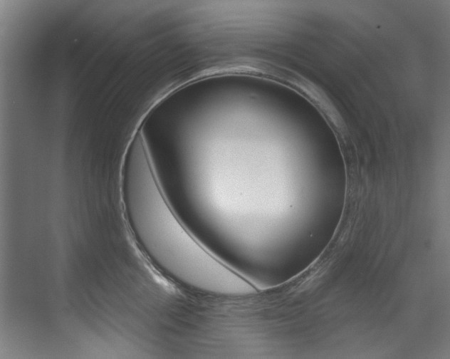 X0000073490858200607310915