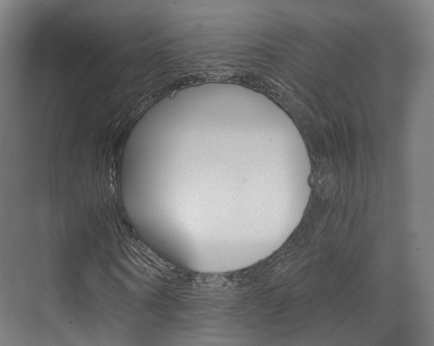 X0000073490866200607310914