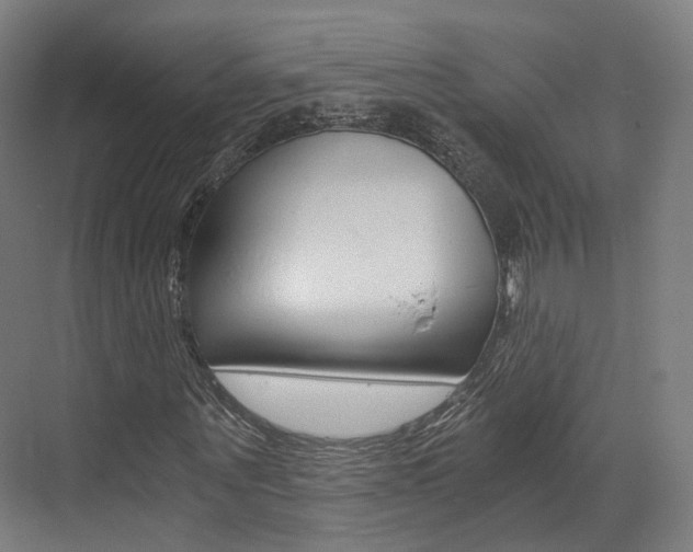 X0000073490867200607310914