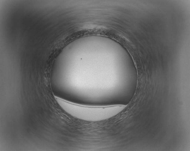 X0000073490869200607310914