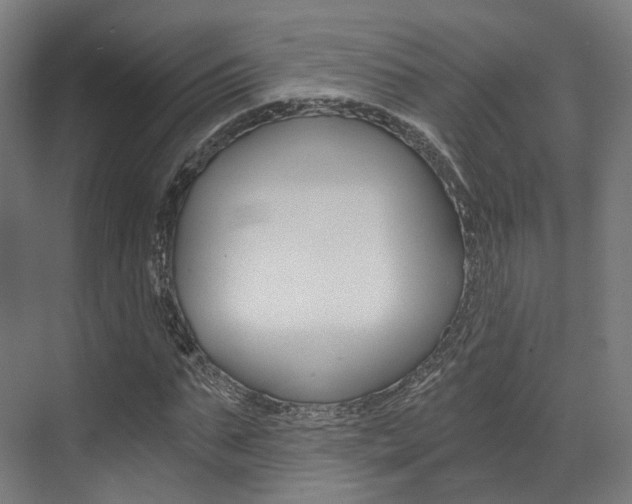 X0000073490871200607310914