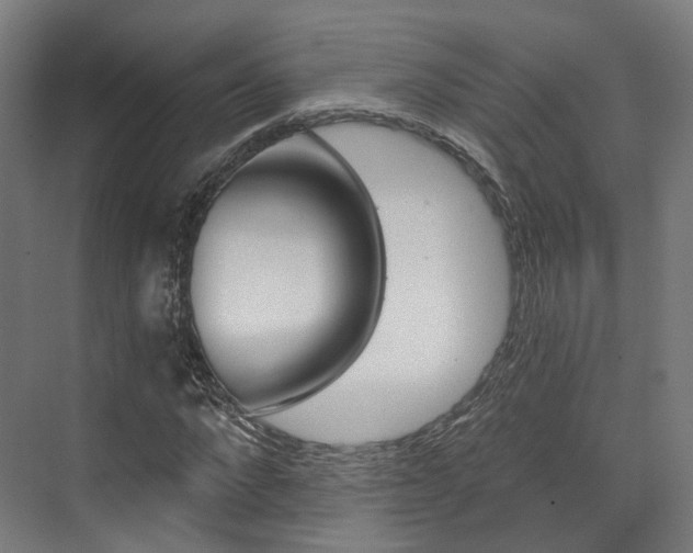 X0000073490872200607310914