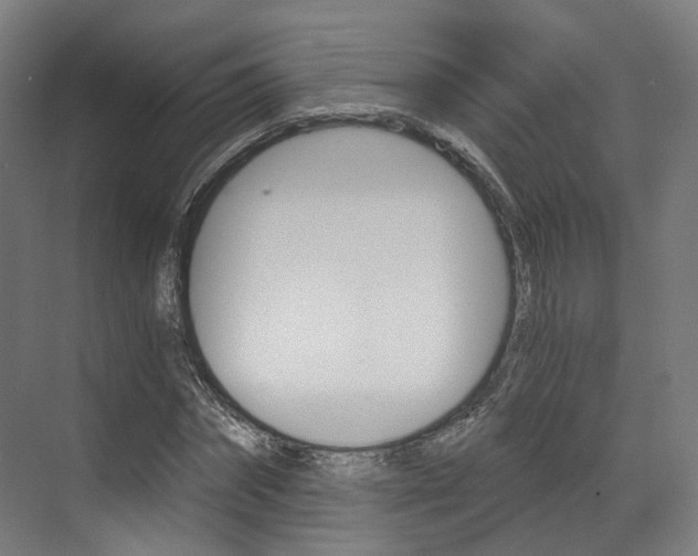 X0000073490874200607310914