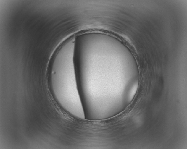 X0000073490879200607310914