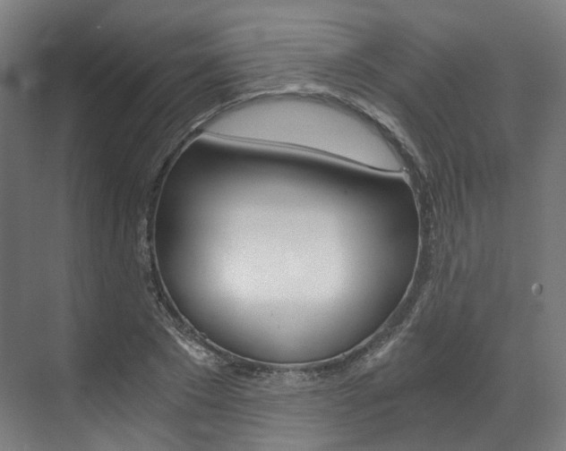 X0000073490881200607310914