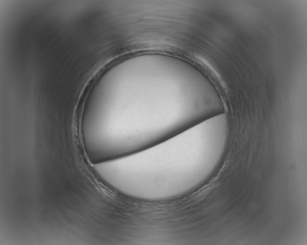 X0000073490883200607310914