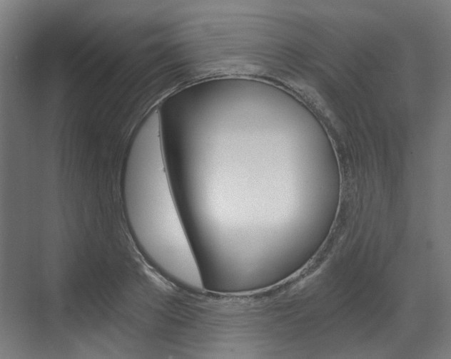 X0000073490889200607310914