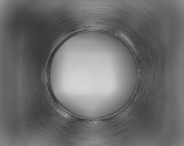 X0000073490891200607310914