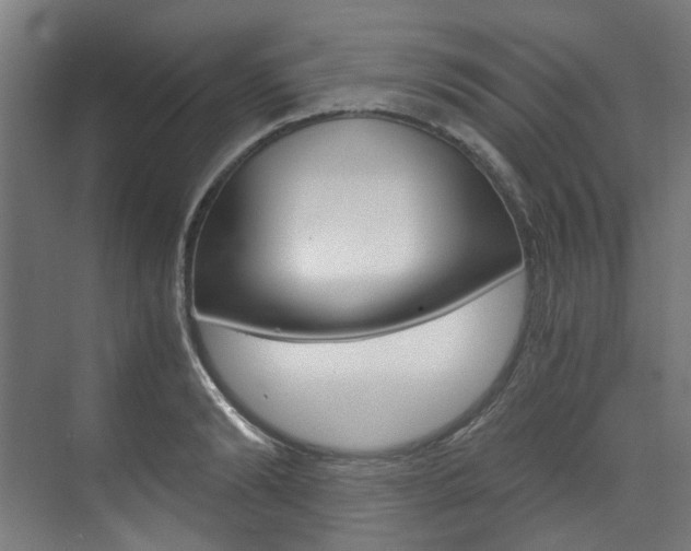 X0000073490894200607310914