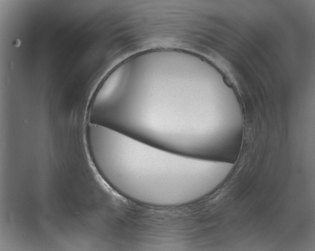 X0000073490903200607310914