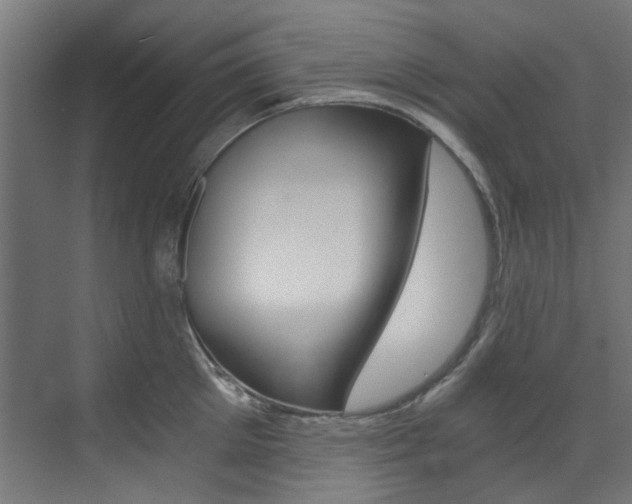 X0000073490905200607310914