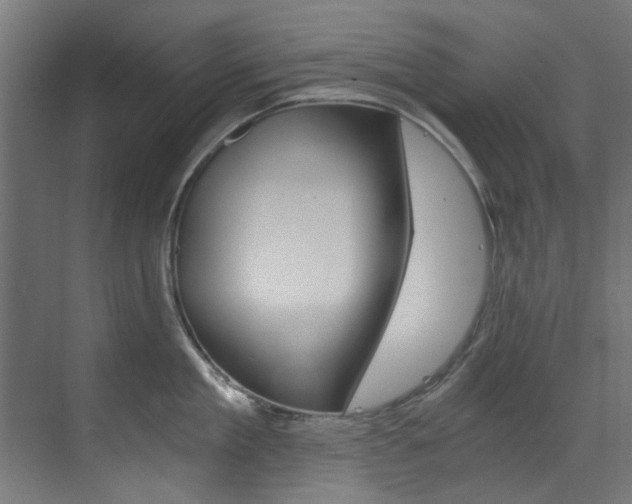 X0000073490909200607310913