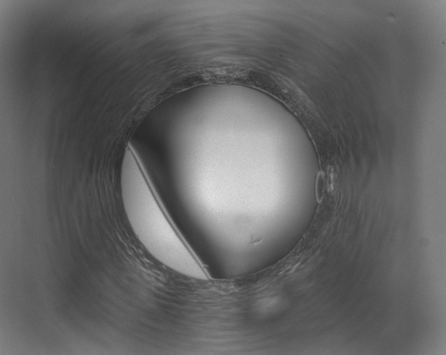 X0000073490915200607310913