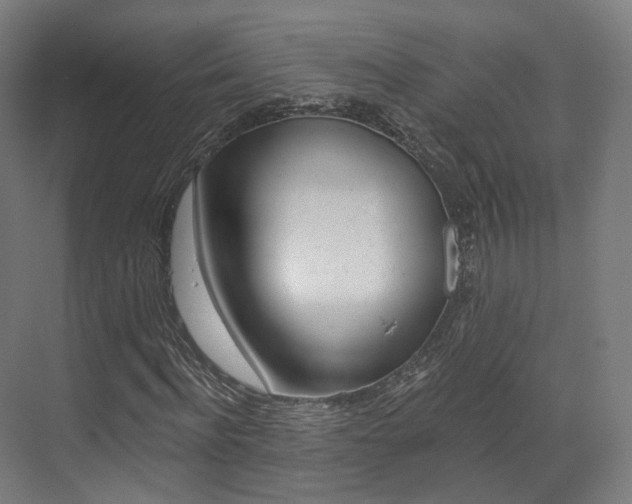X0000073490916200607310913