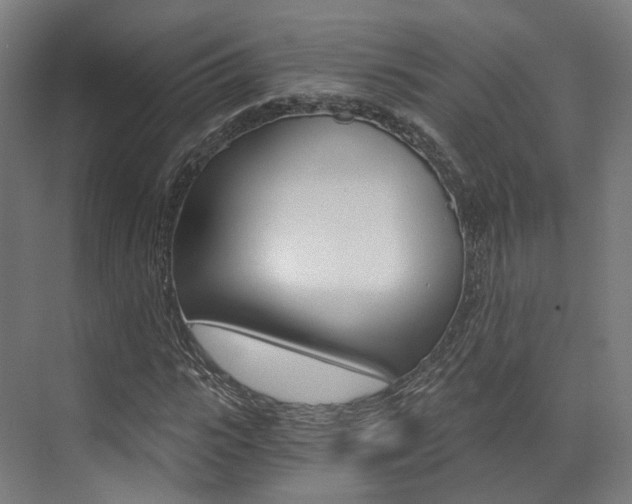 X0000073490919200607310913