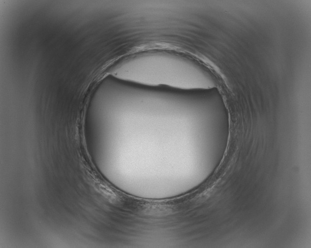 X0000073490921200607310913