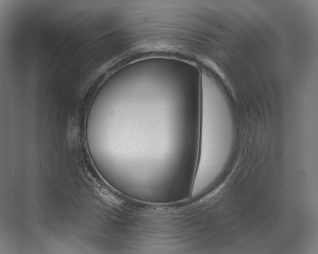 X0000073490922200607310913