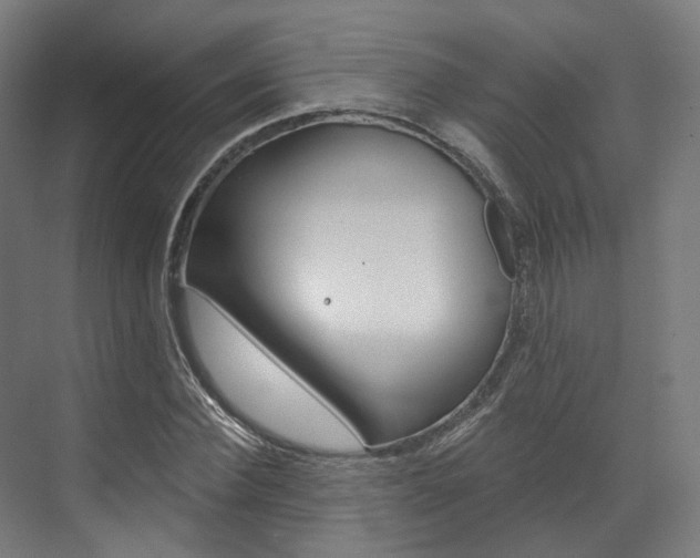 X0000073490924200607310913