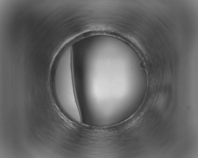 X0000073490927200607310913