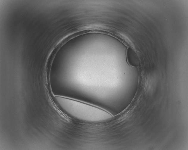 X0000073490931200607310913