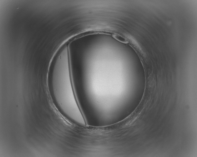 X0000073490932200607310913