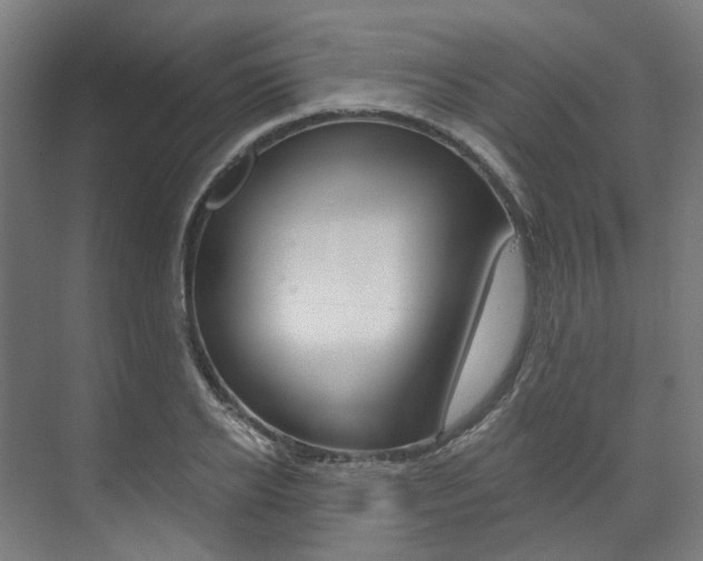 X0000073490934200607310913