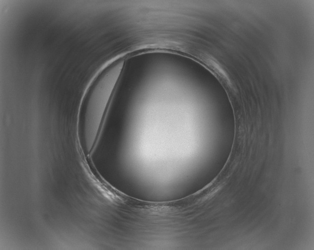 X0000073490940200607310913