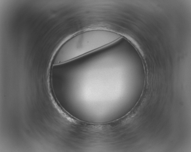 X0000073490949200607310913