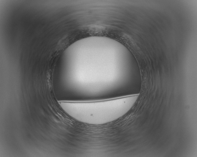 X0000073490964200607310913
