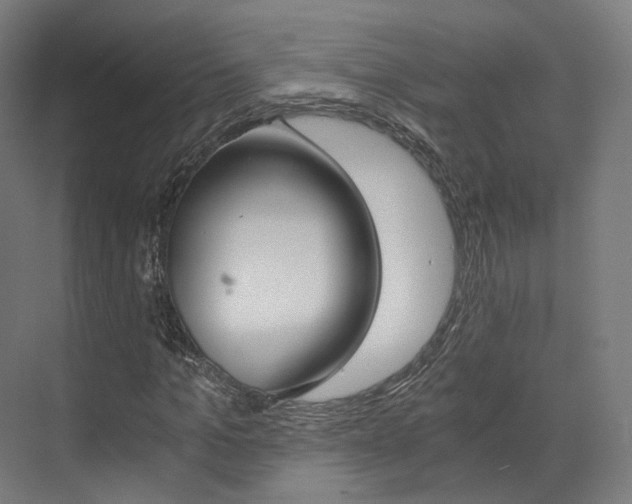 X0000073490965200607310913