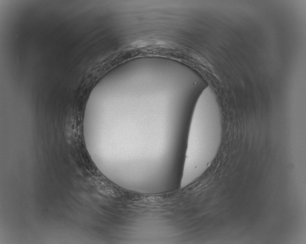 X0000073490966200607310912