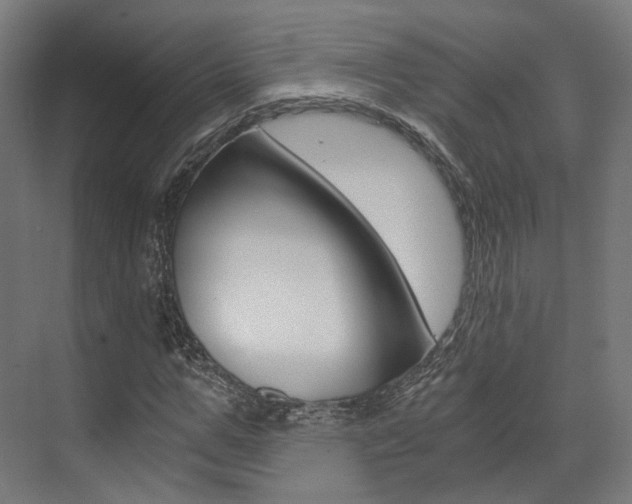 X0000073490967200607310912