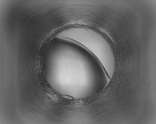 X0000073490968200607310912