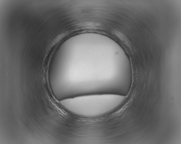X0000073490970200607310912