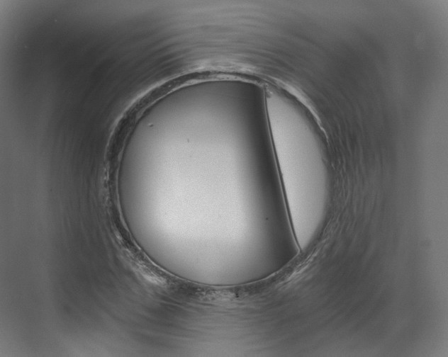 X0000073490971200607310912