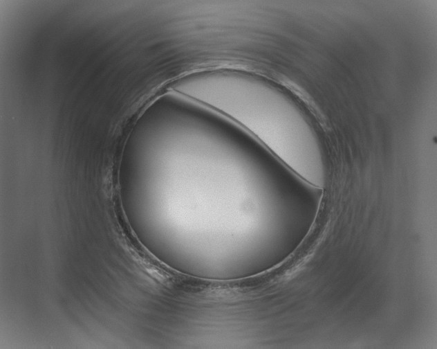X0000073490977200607310912