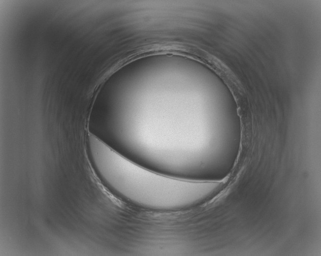 X0000073490985200607310912