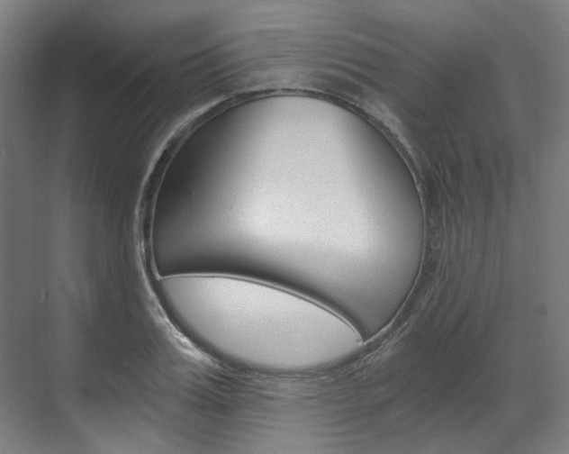 X0000073490987200607310912