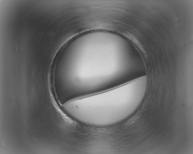 X0000073490991200607310912