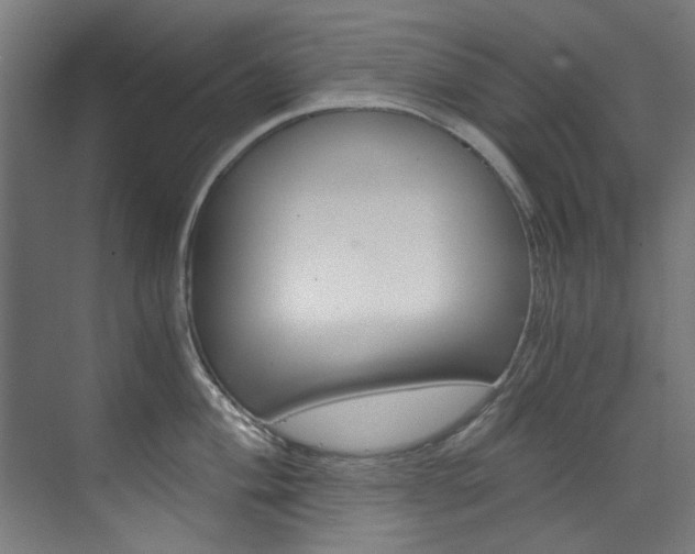 X0000073491004200607310912