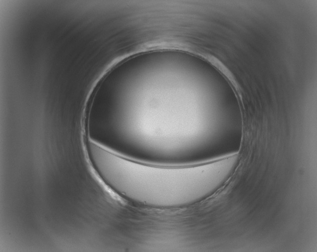 X0000073491005200607310912