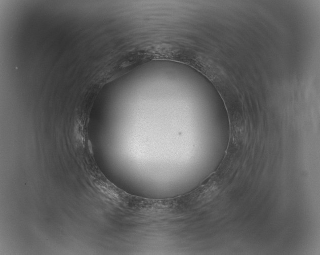 X0000073491010200607310911
