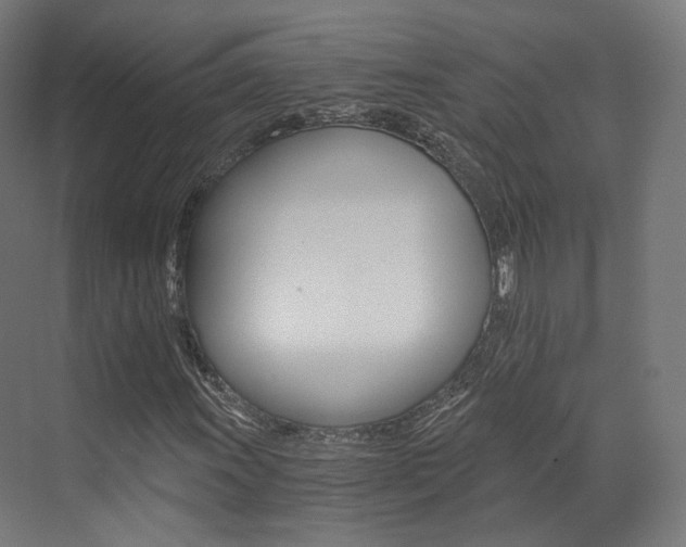 X0000073491011200607310911