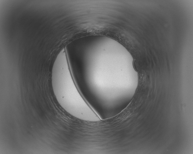 X0000073491012200607310911